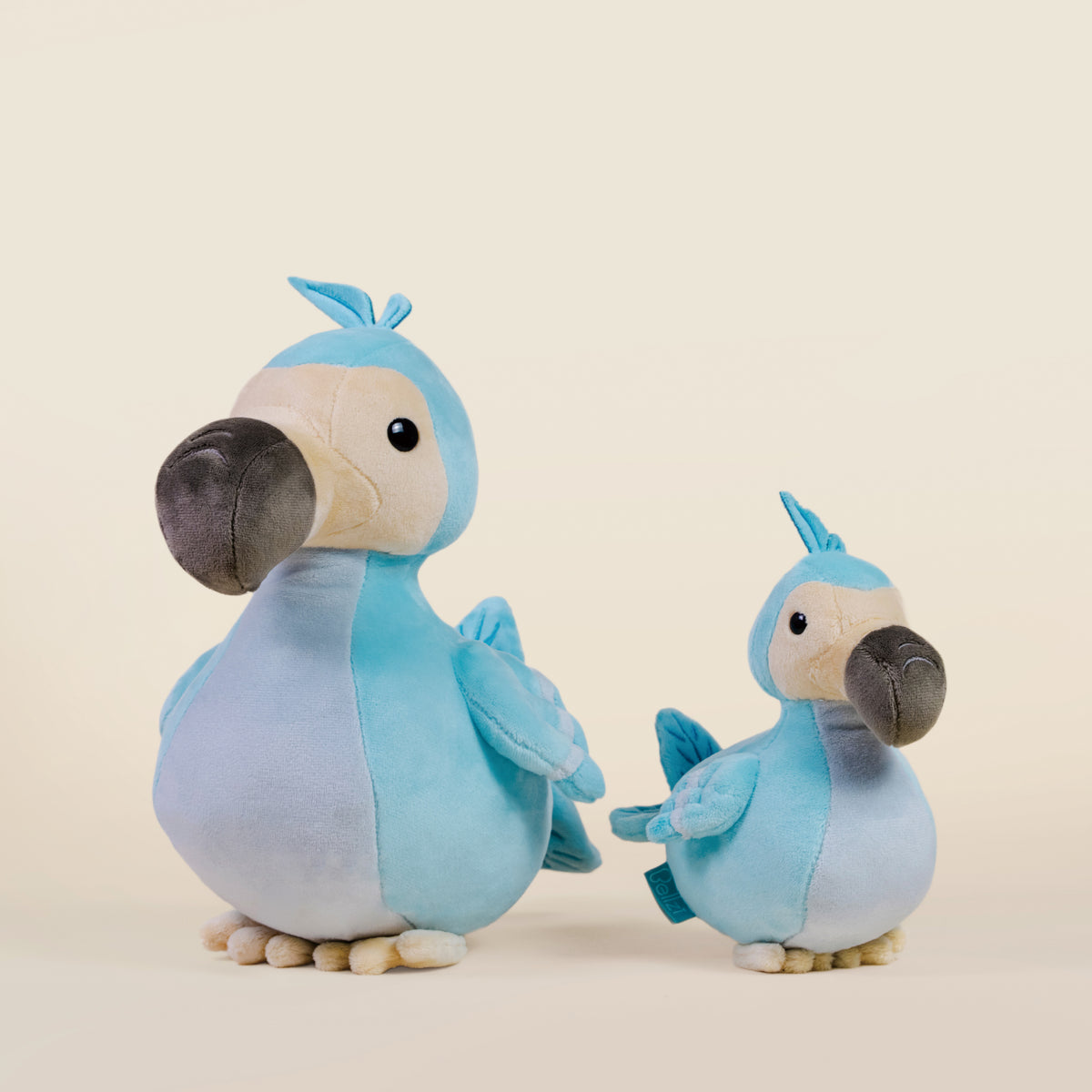 Dodoi the Dodo Bird