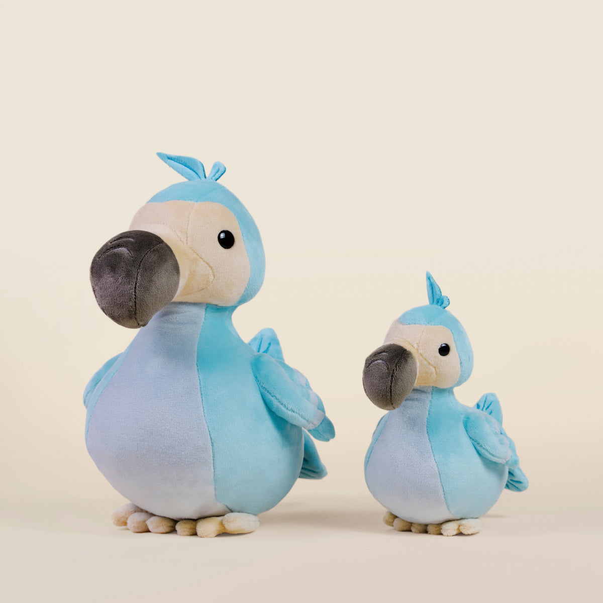 Dodoi the Dodo Bird