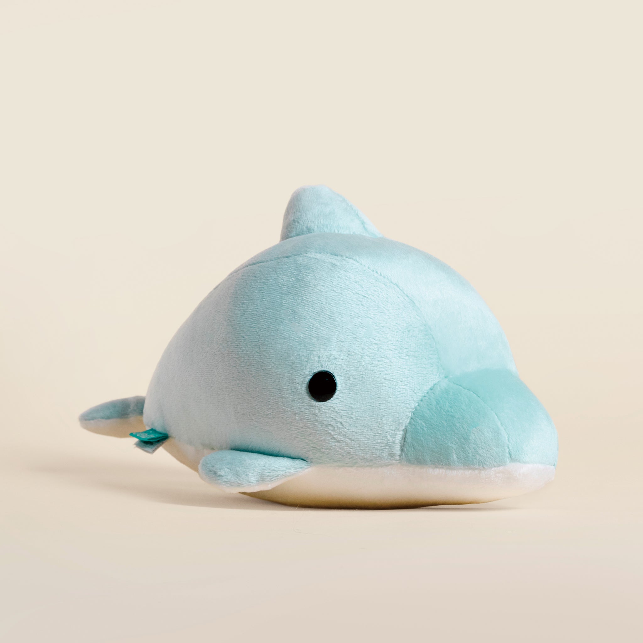 Dolphi the Dolphin