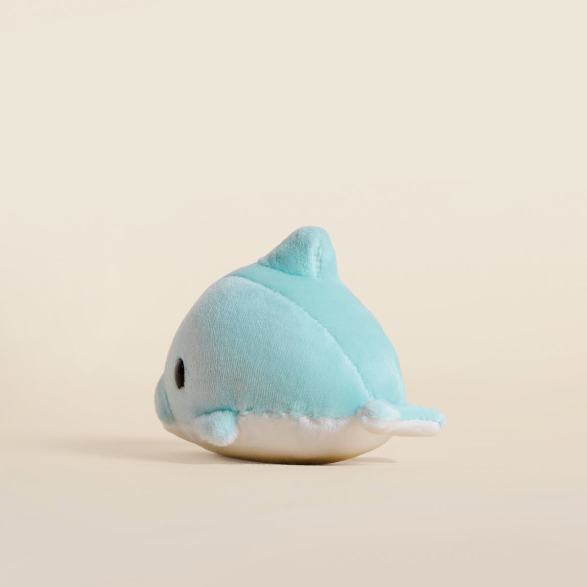 Mini Dolphi the Dolphin