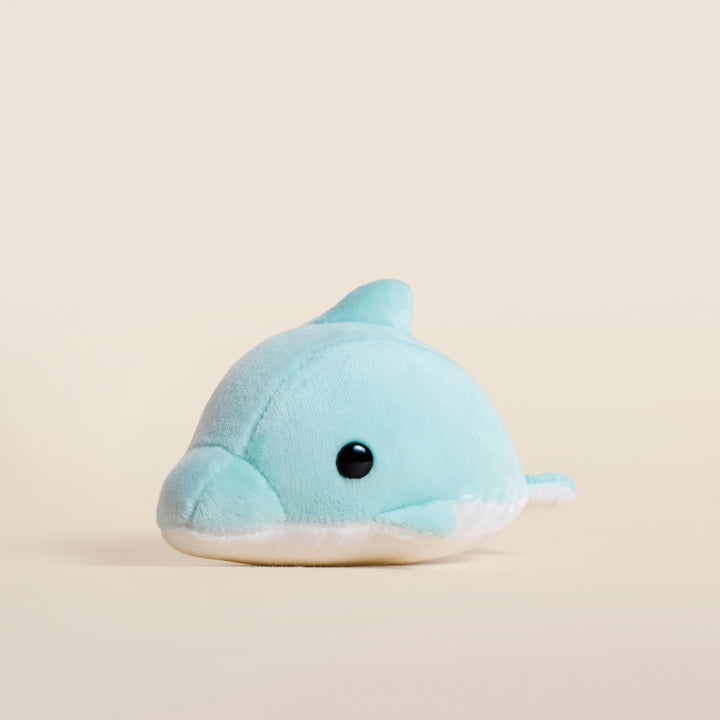 Mini Dolphi the Dolphin