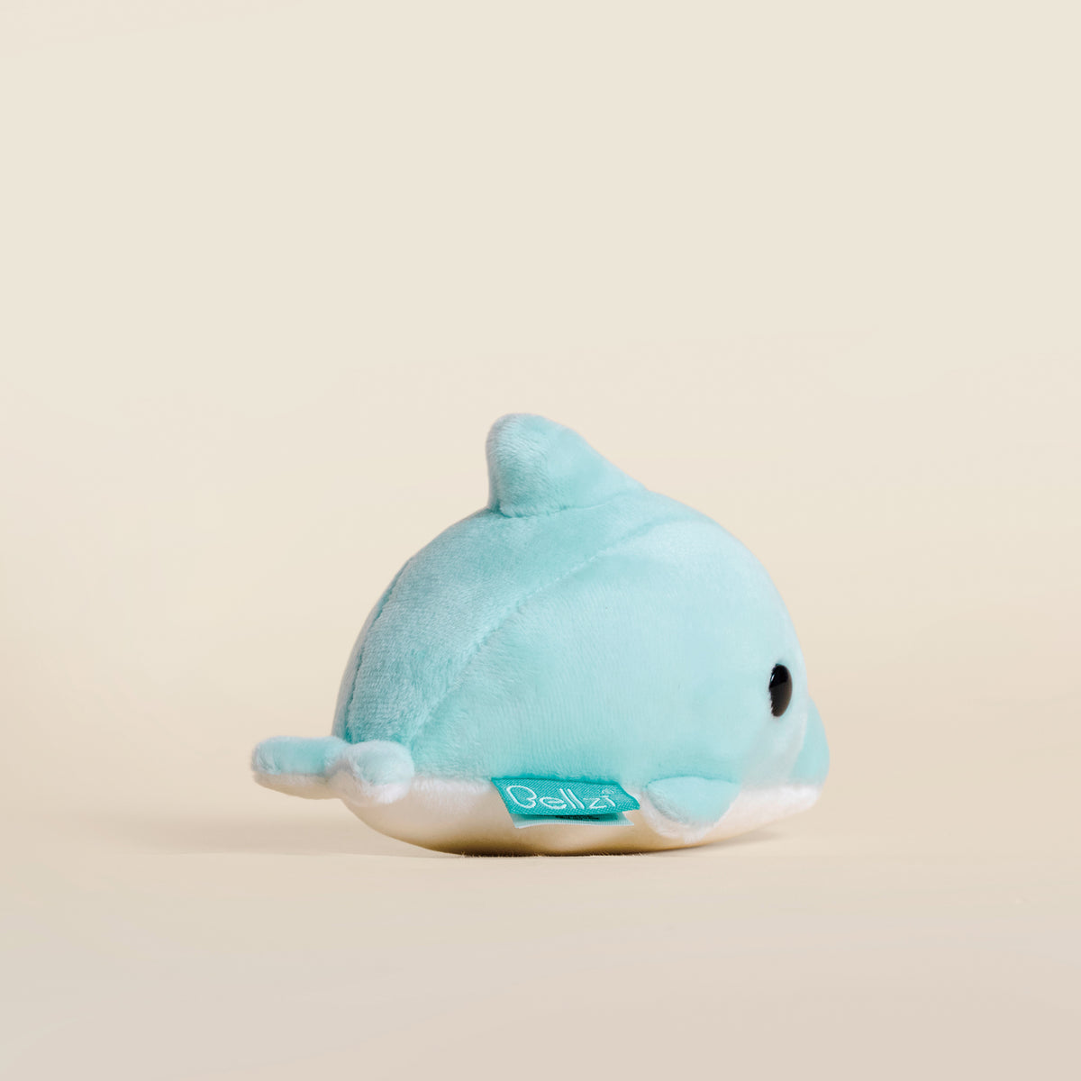 Mini Dolphi the Dolphin