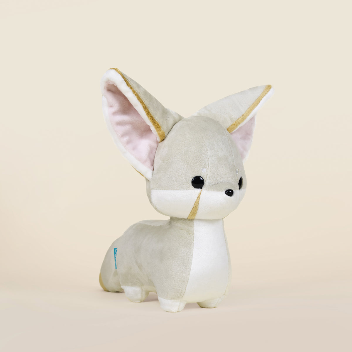 Fenni the Fennec Fox