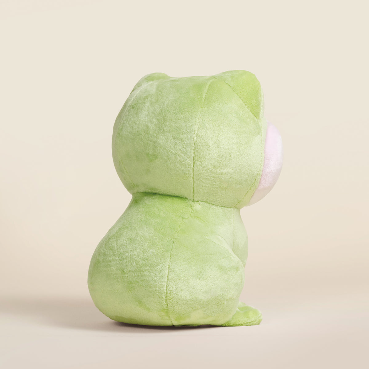 Froggi the Frog