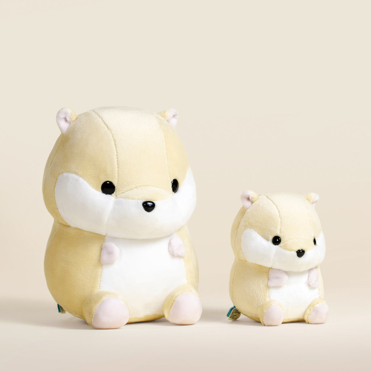 Hami the Hamster