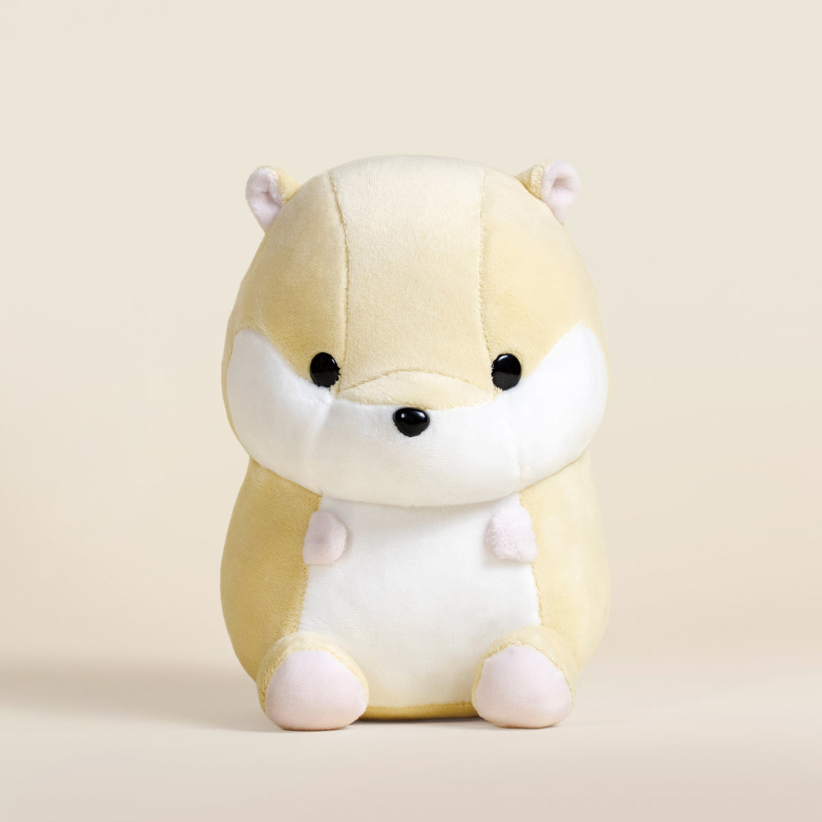 Hami the Hamster
