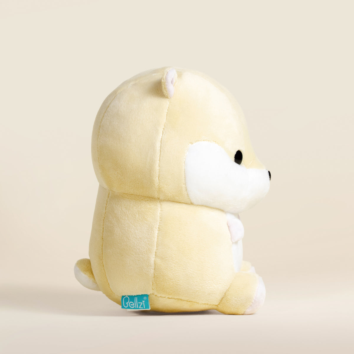Hami the Hamster