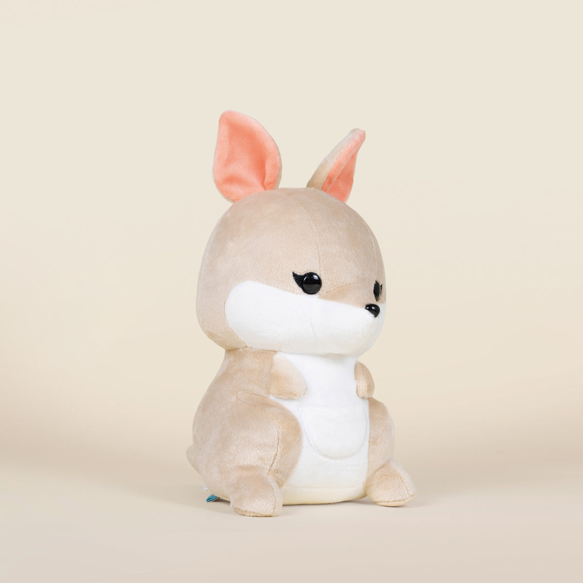 Kangi The Kangaroo