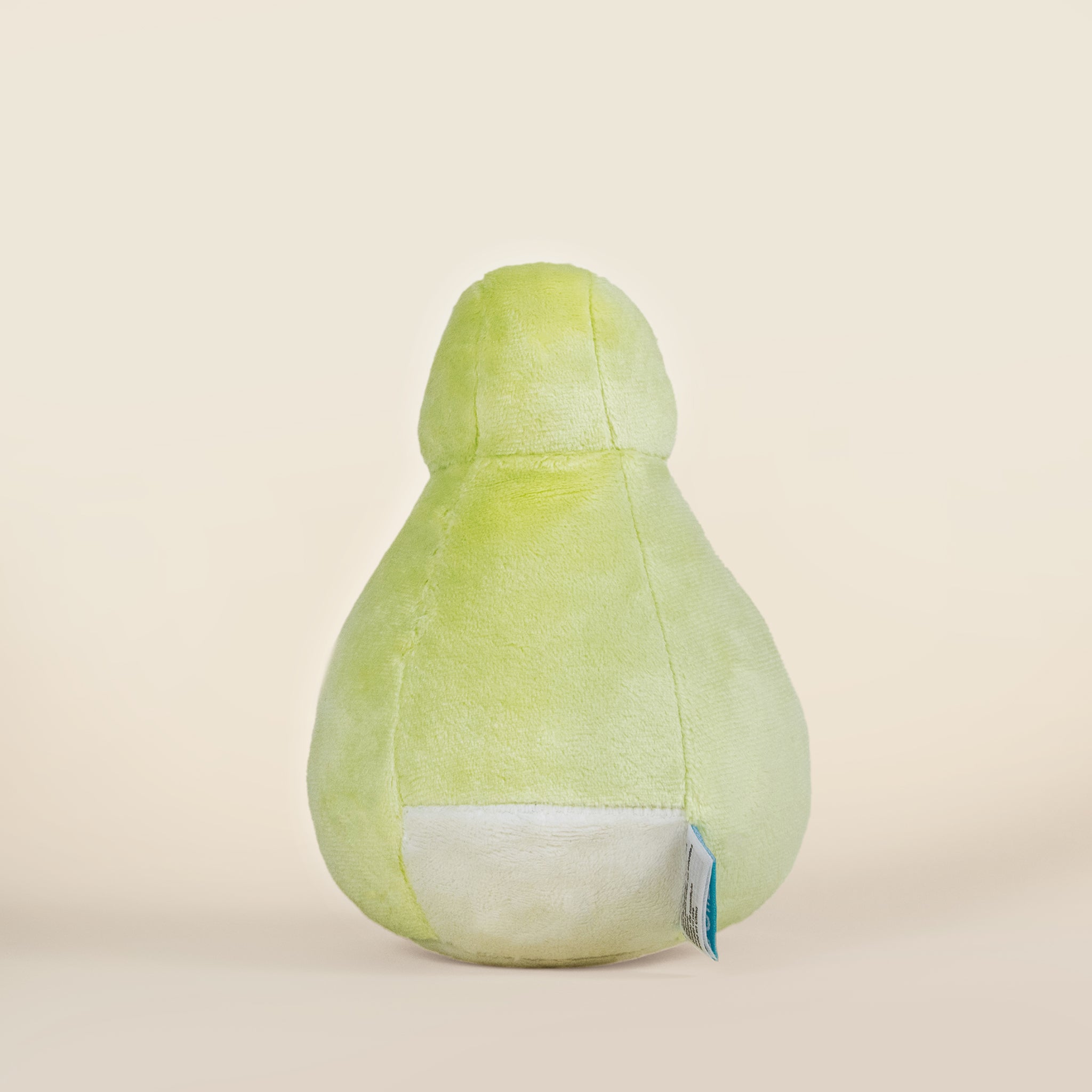 Mini Kii the Kiwi