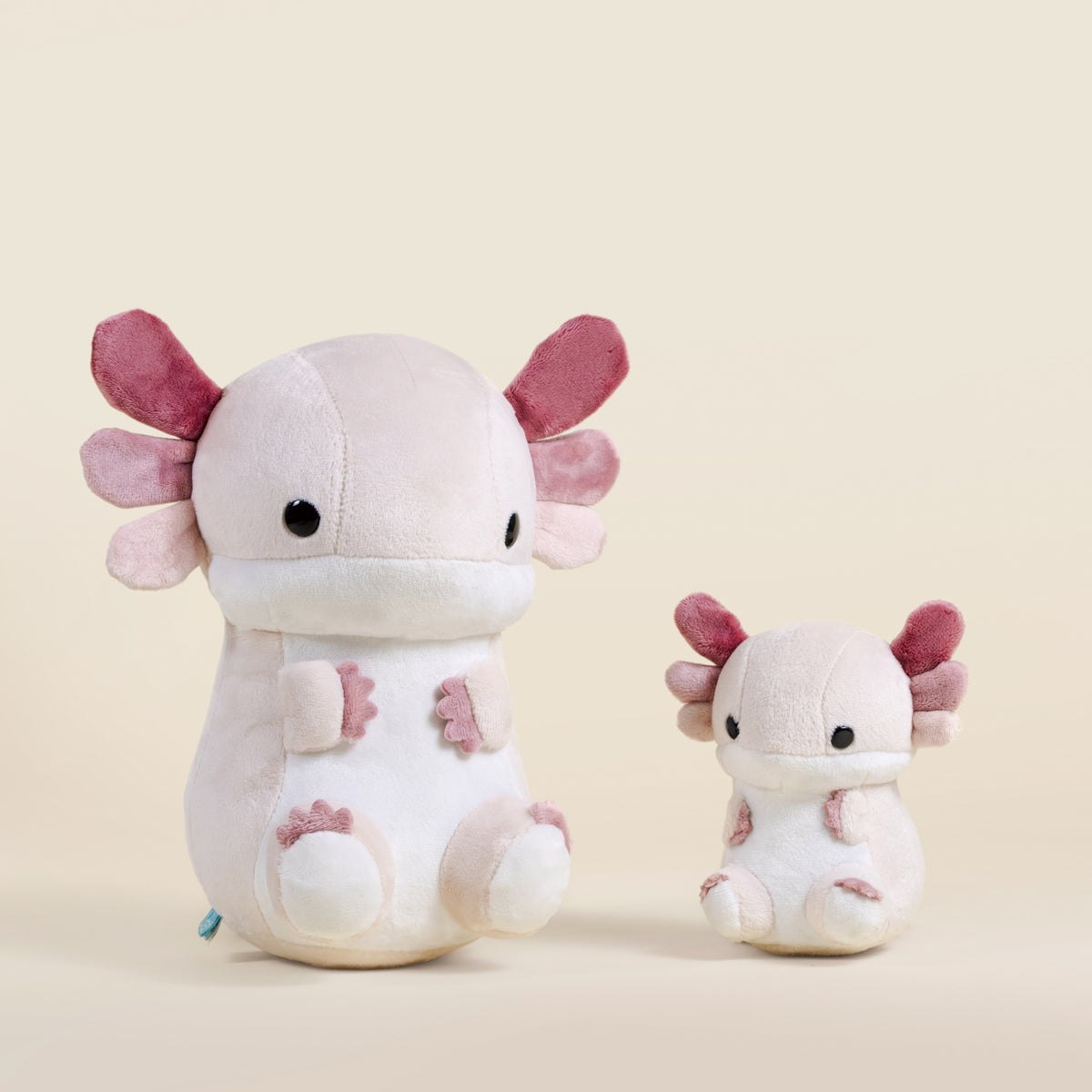Mini Lotti the Axolotl
