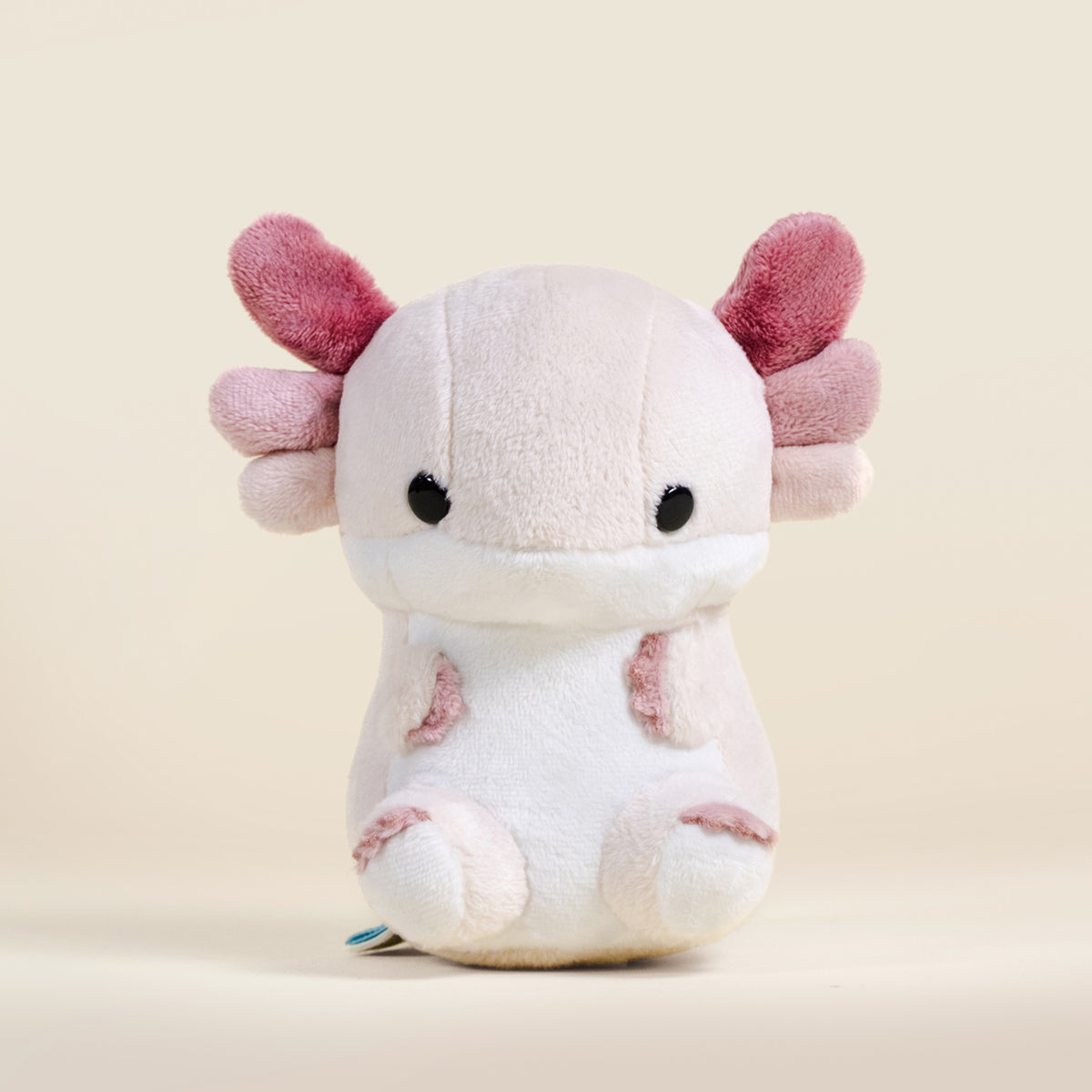 Mini Lotti the Axolotl