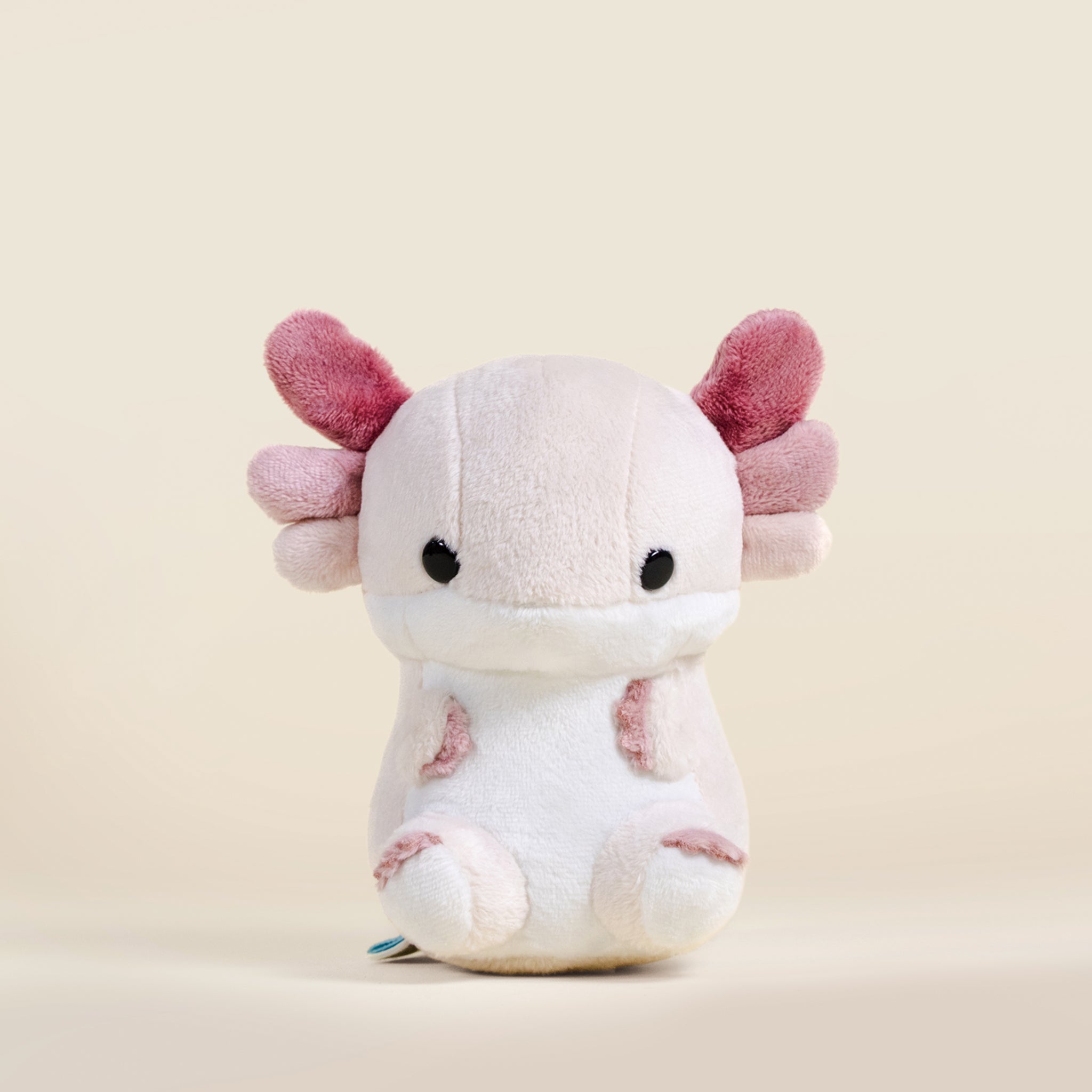 Mini Lotti the Axolotl