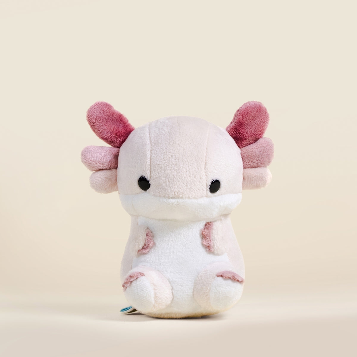 Mini Lotti the Axolotl