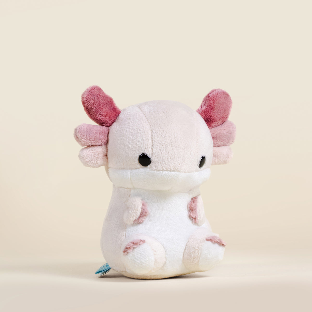 Mini Lotti the Axolotl