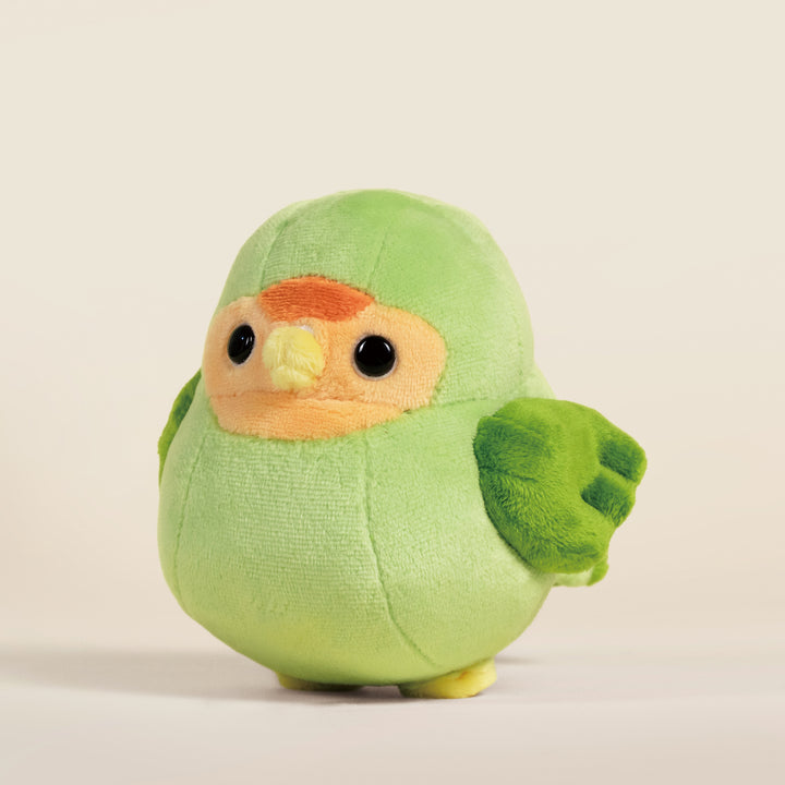 Mini Lovi the Green Lovebird
