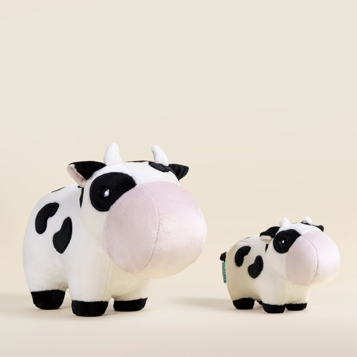 Mooi the Cow