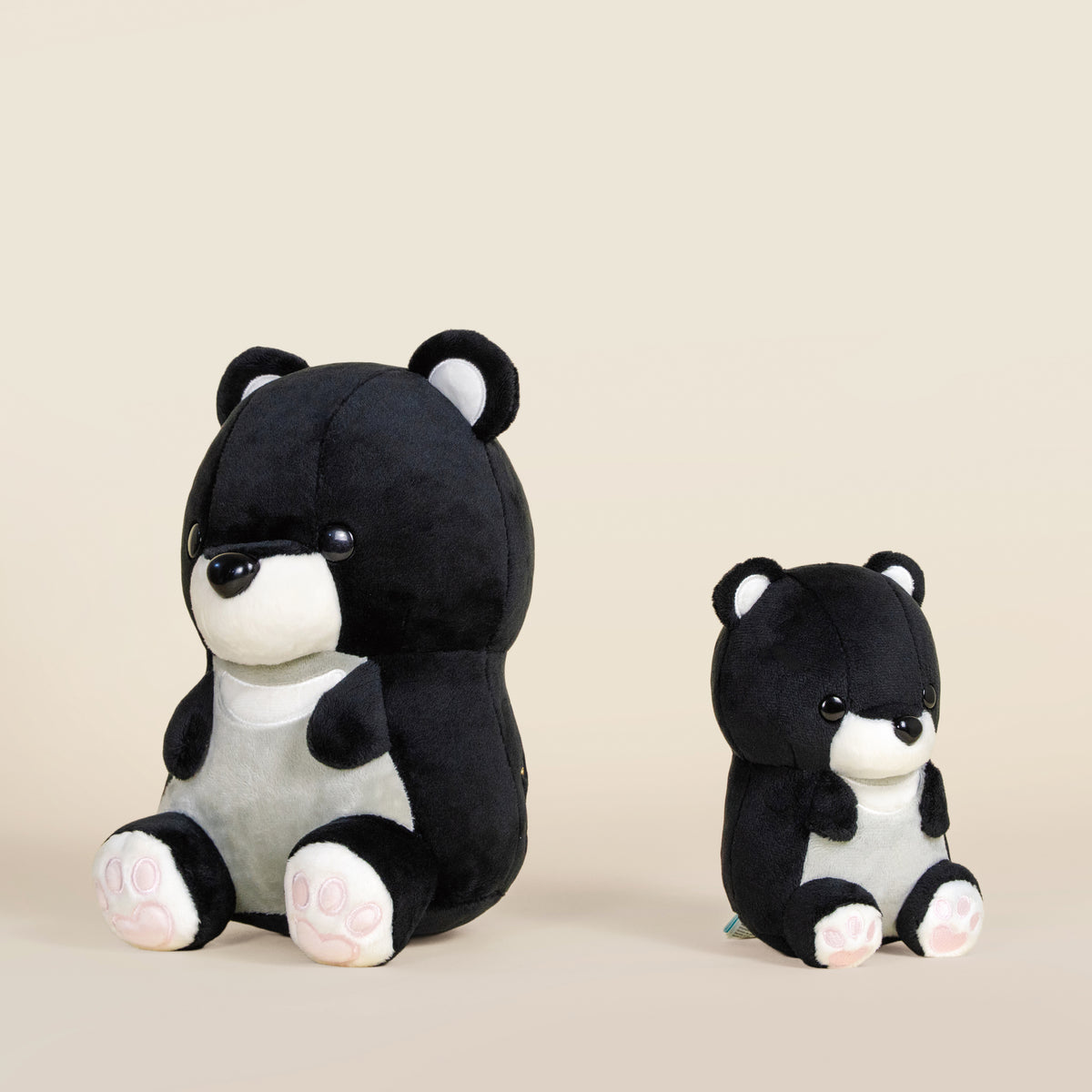 Moonbi the Moon Bear