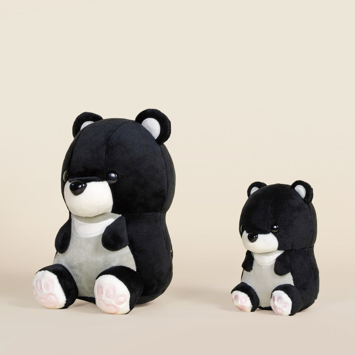 Moonbi the Moon Bear