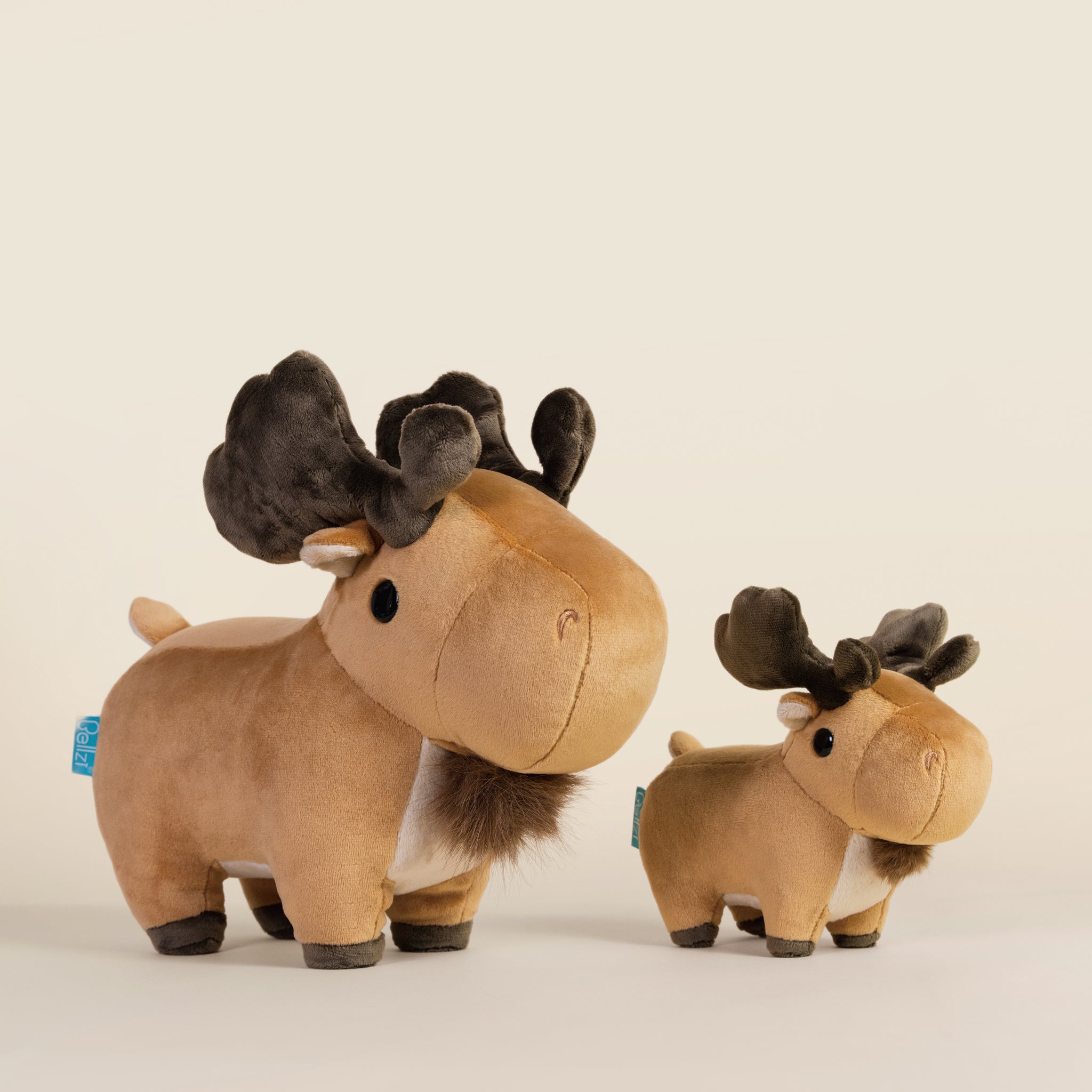 Mini Moosi the Moose
