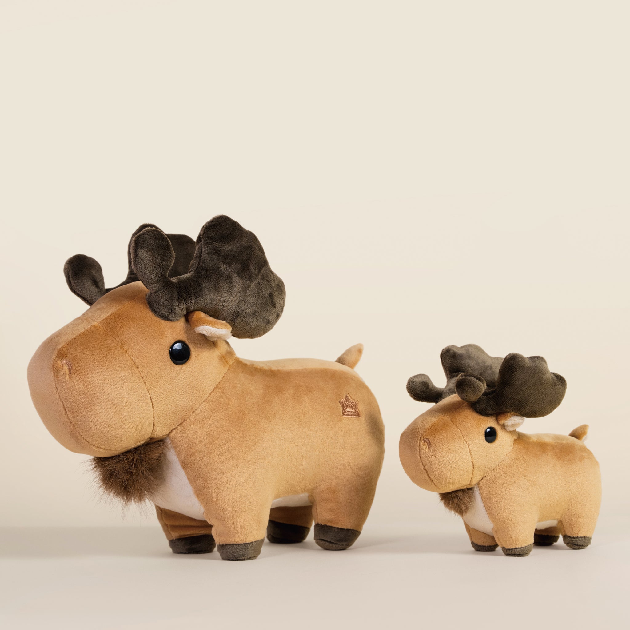 Mini Moosi the Moose