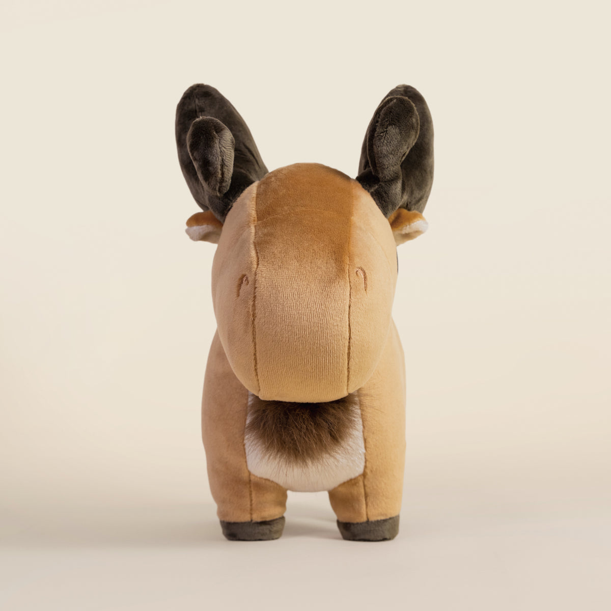 Moosi the Moose