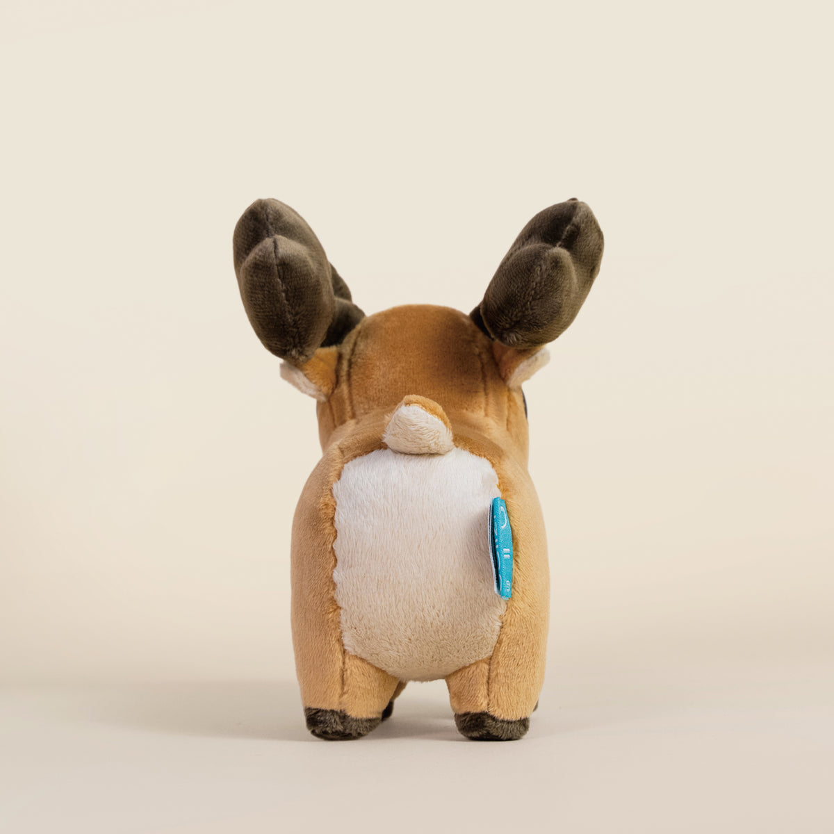 Mini Moosi the Moose