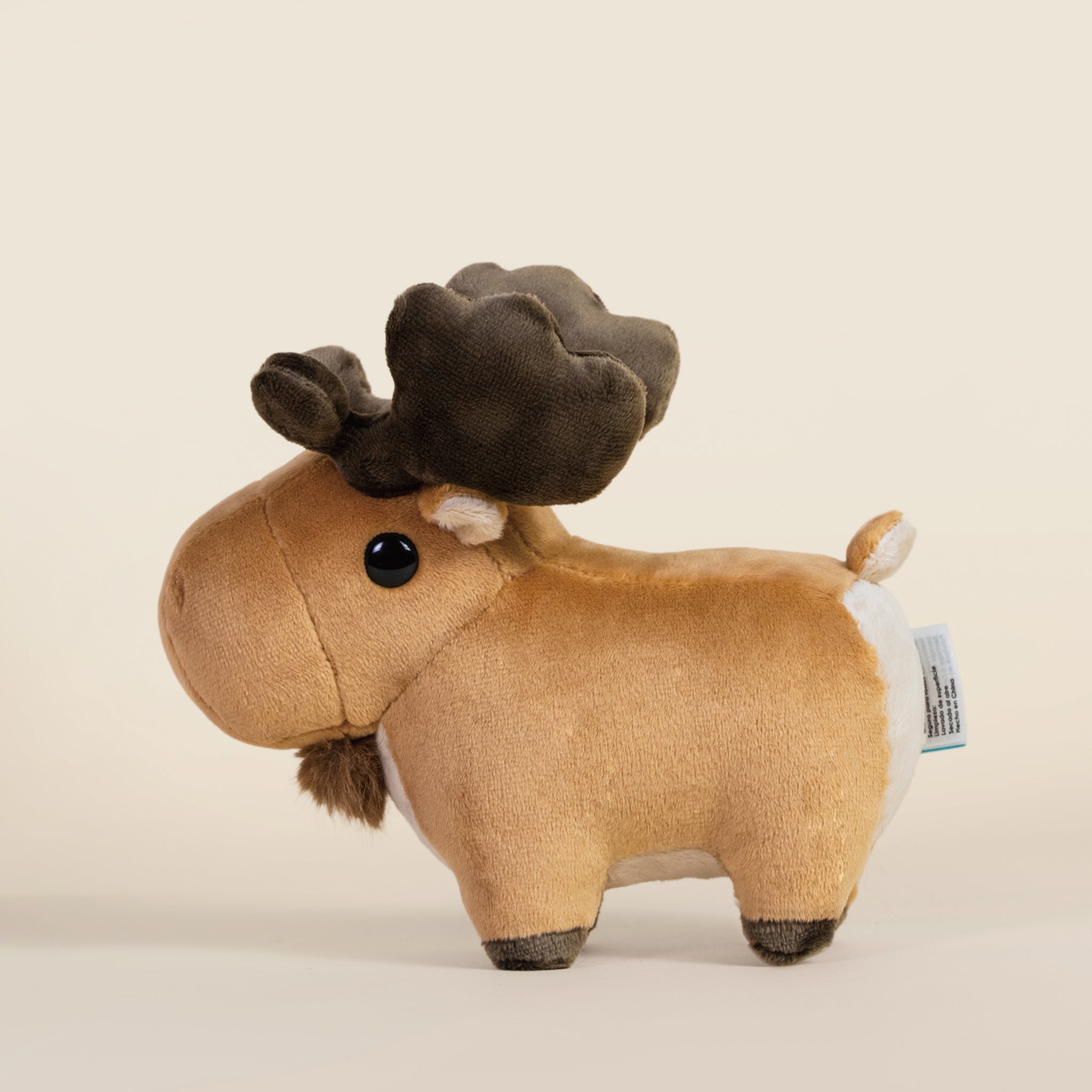 Mini Moosi the Moose