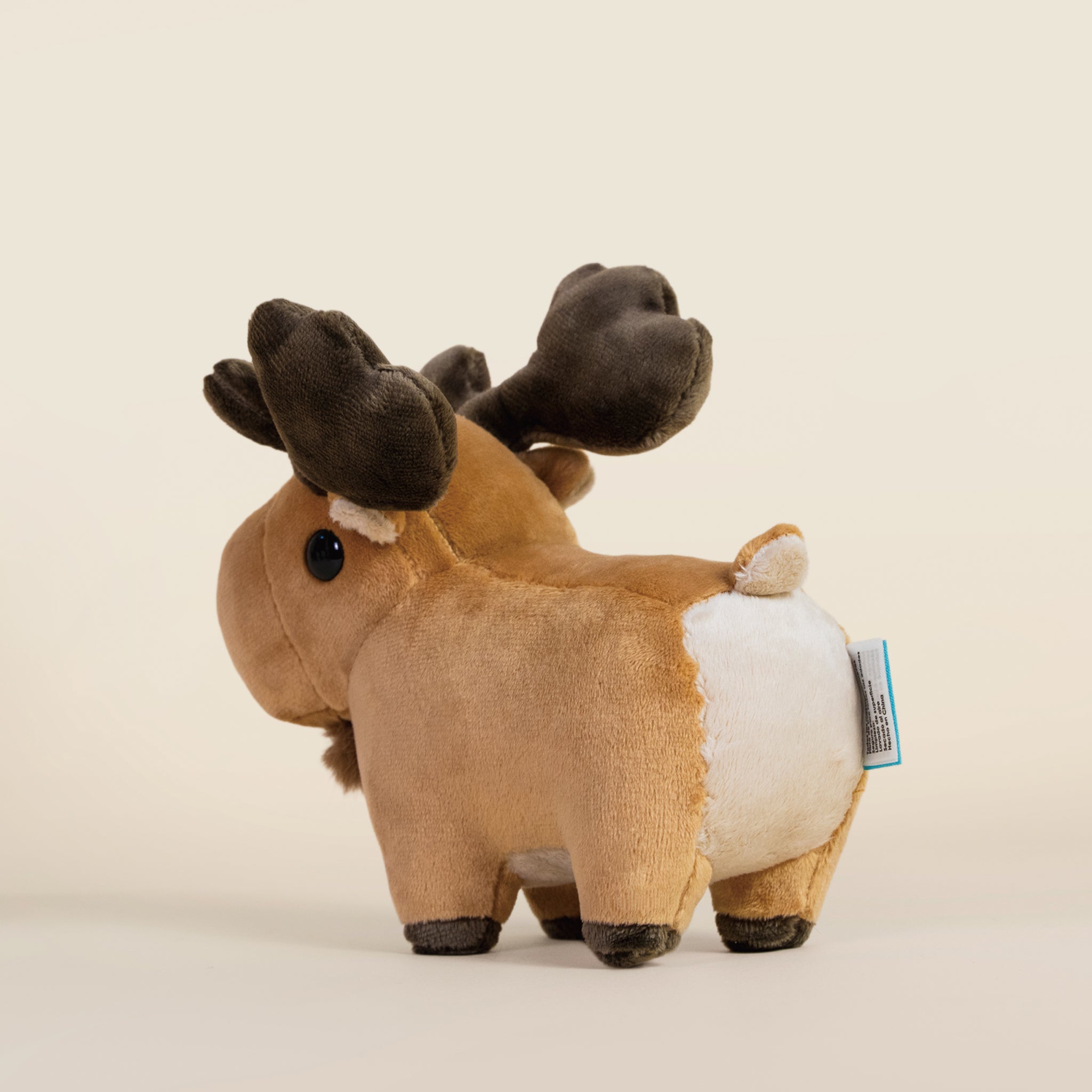 Mini Moosi the Moose