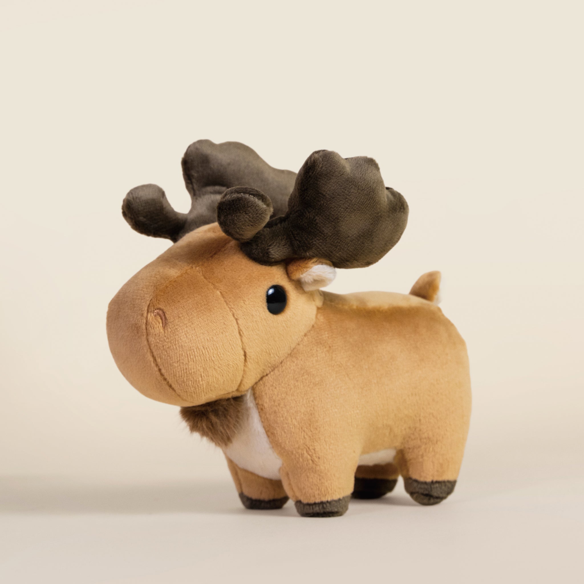Mini Moosi the Moose