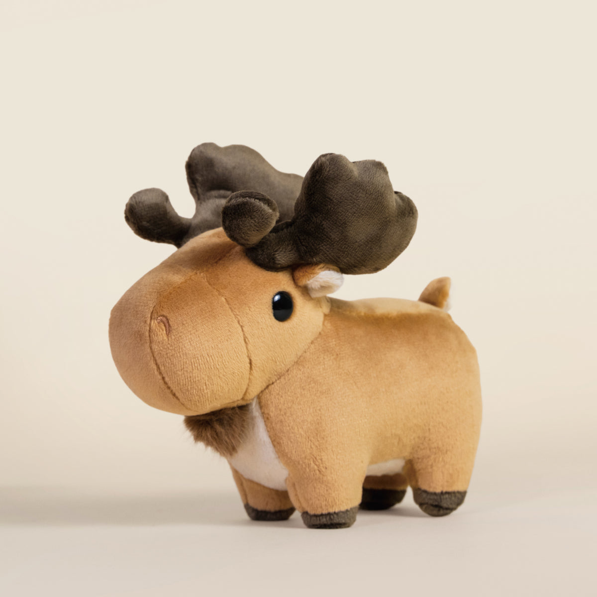 Mini Moosi the Moose