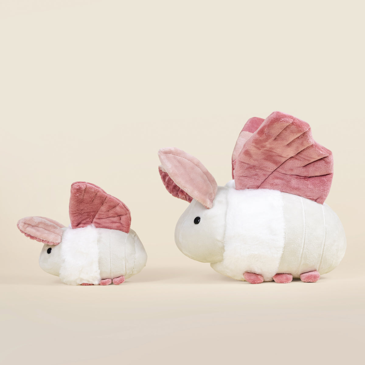 Mini Mothi the Moth