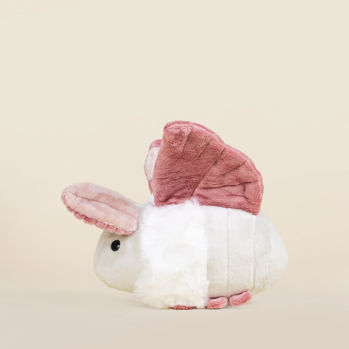 Mini Mothi the Moth