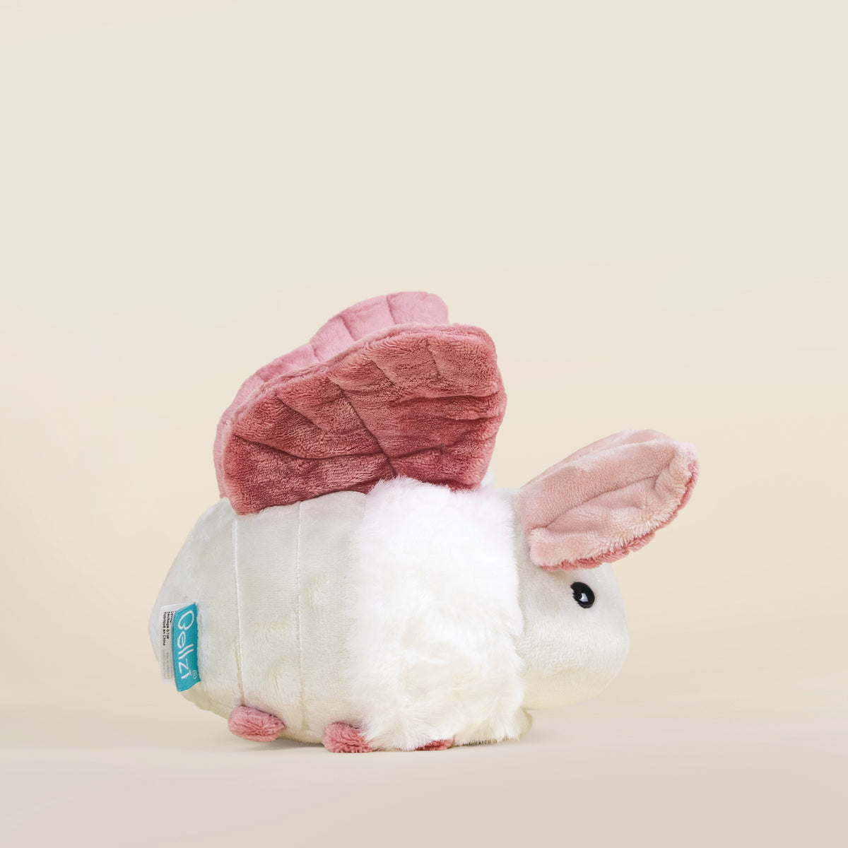 Mini Mothi the Moth