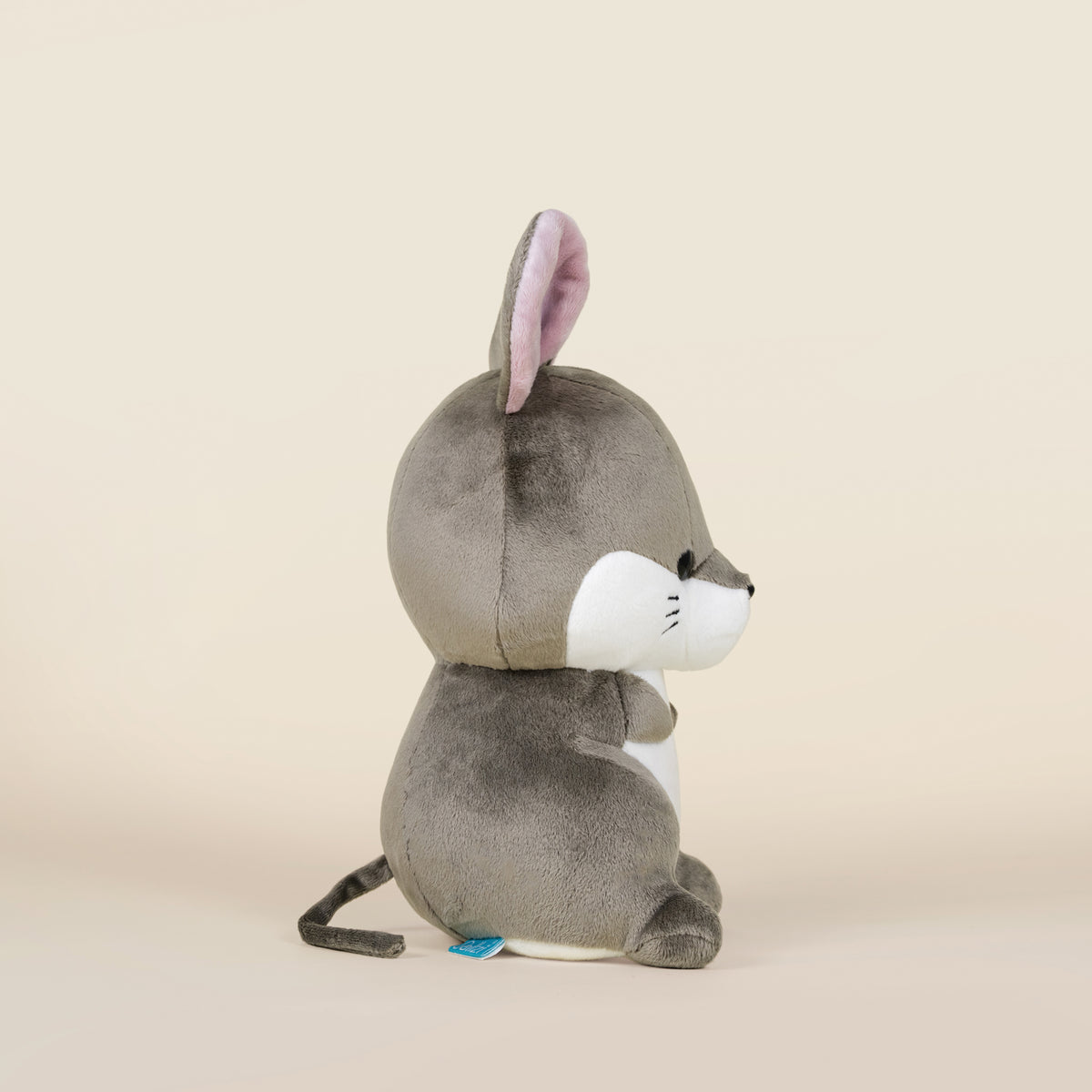 Mousi the Mouse