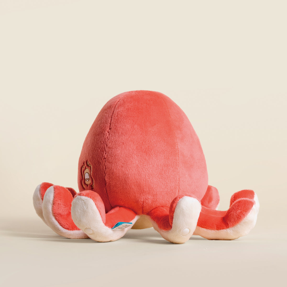 Octi the Octopus