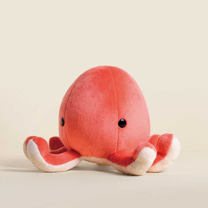 Octi the Octopus