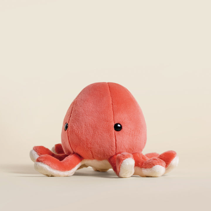 Mini Octi the Octopus
