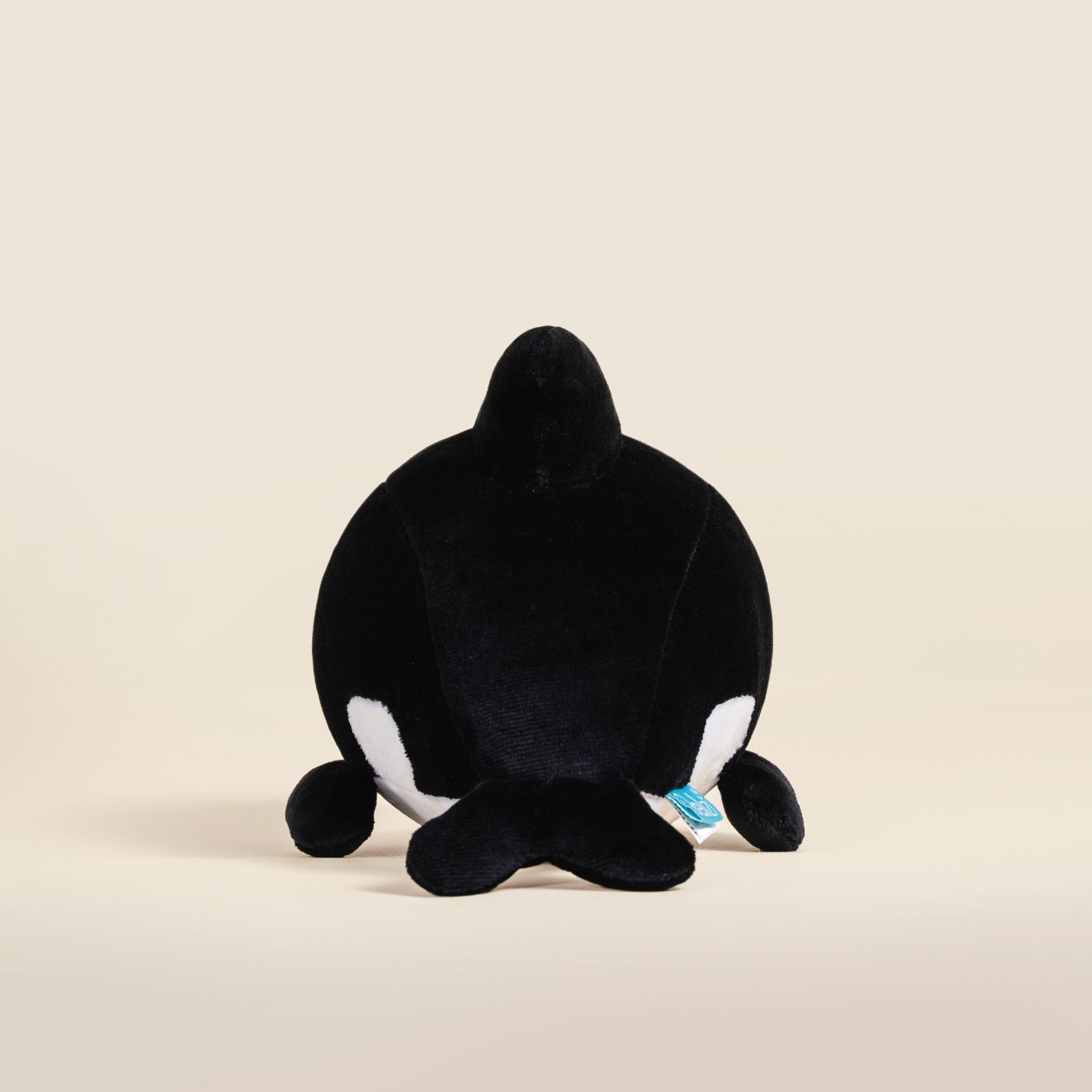 Orki the Orca