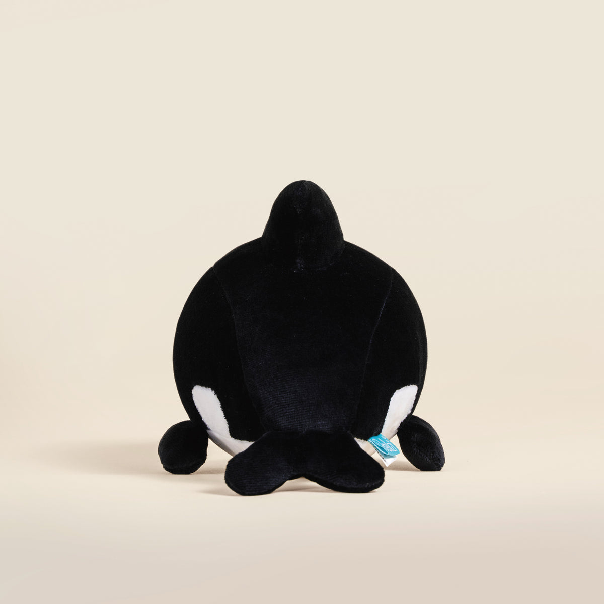 Orki the Orca