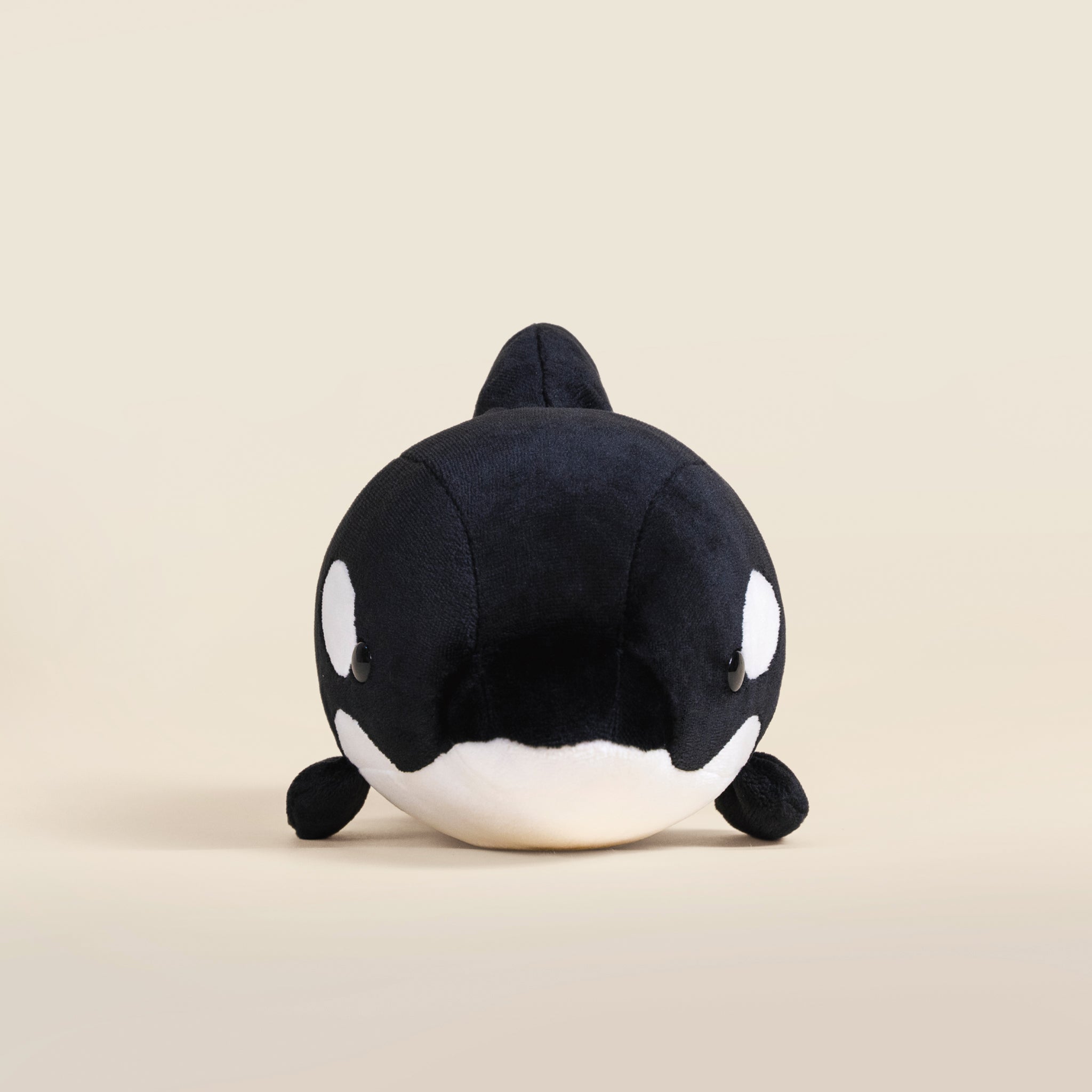 Orki the Orca
