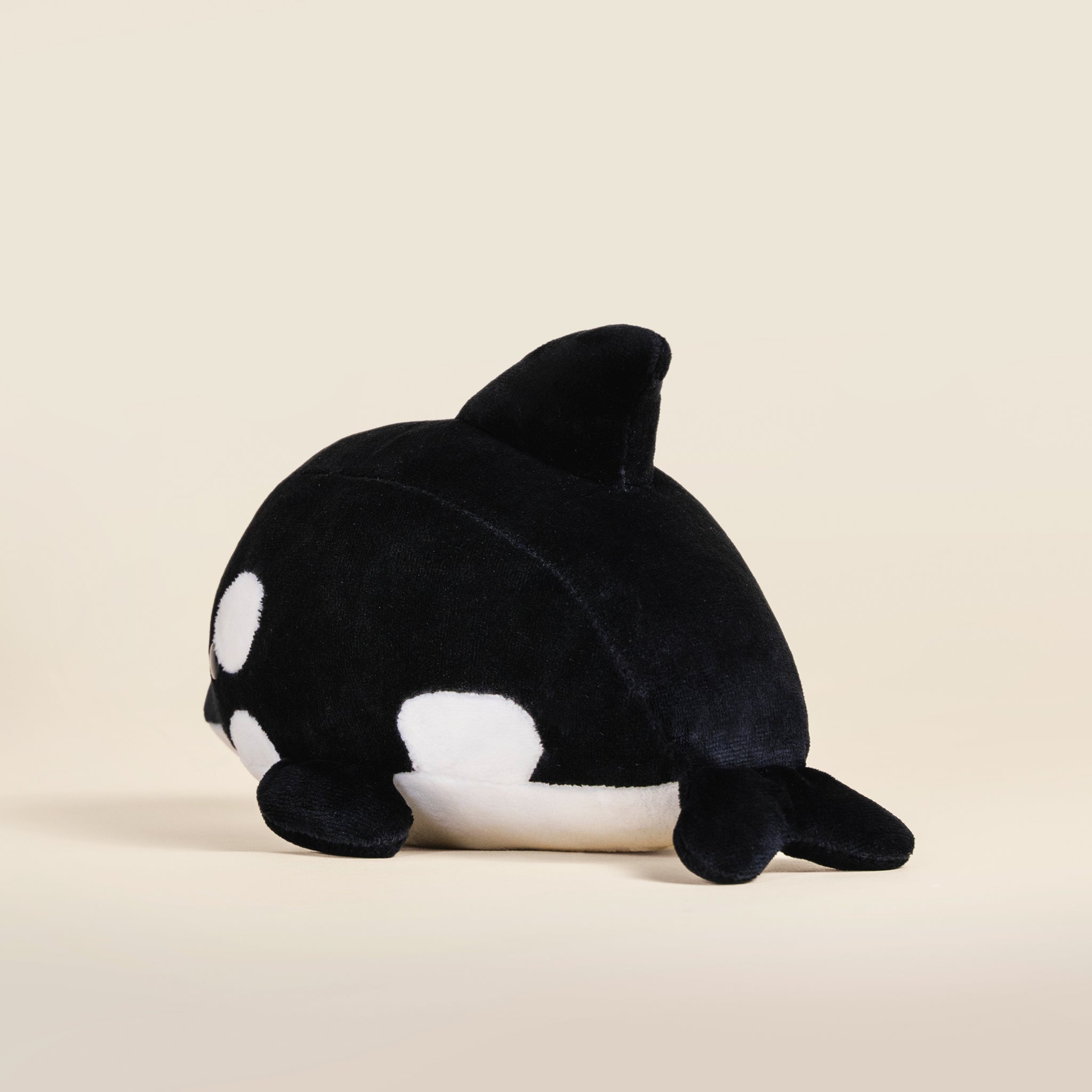 Orki the Orca