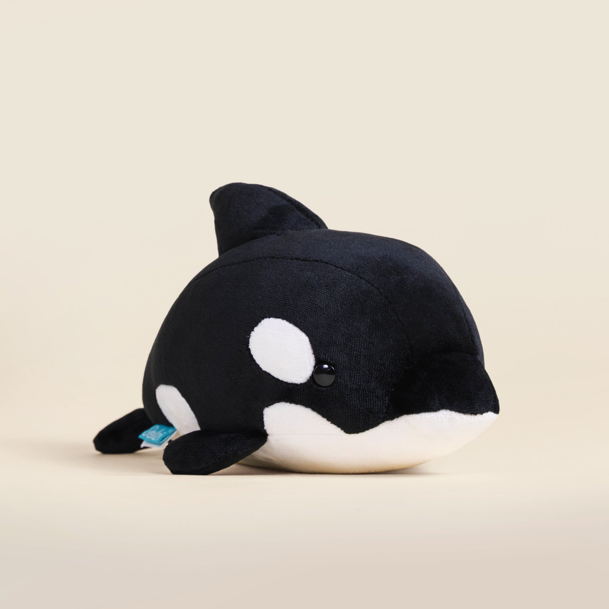 Orki the Orca