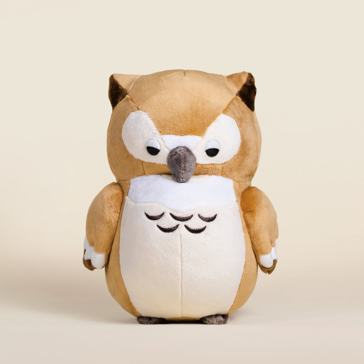 Owli the Barn Owl