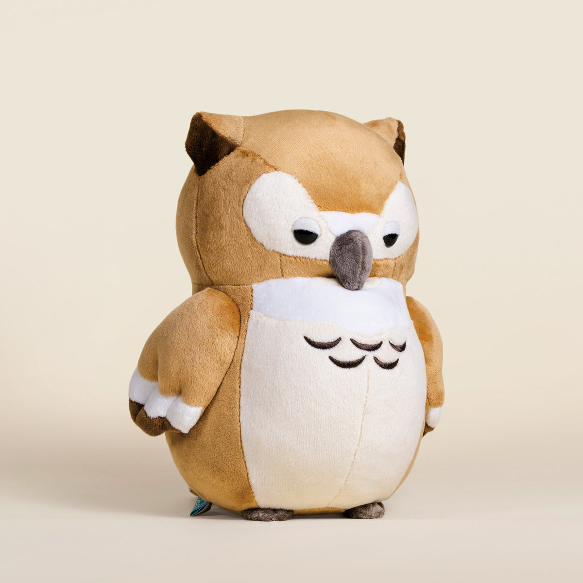 Owli the Barn Owl