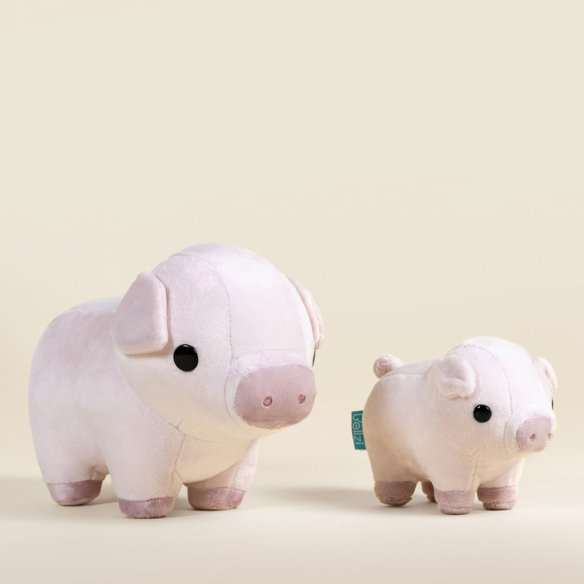 Piggi the Pig