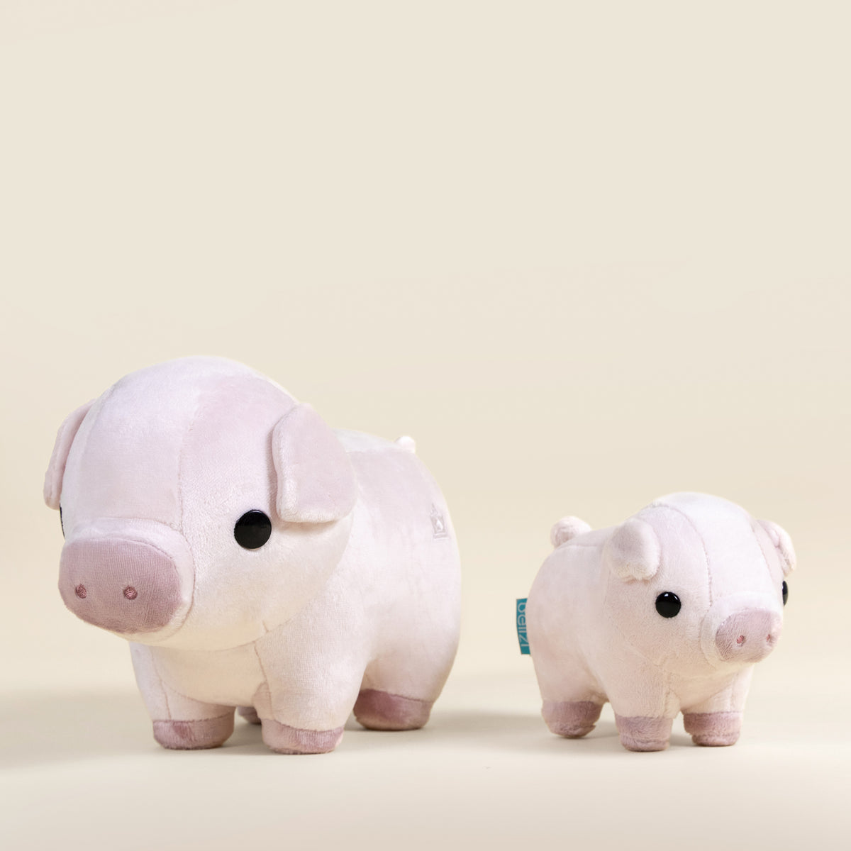 Mini Piggi the Pig