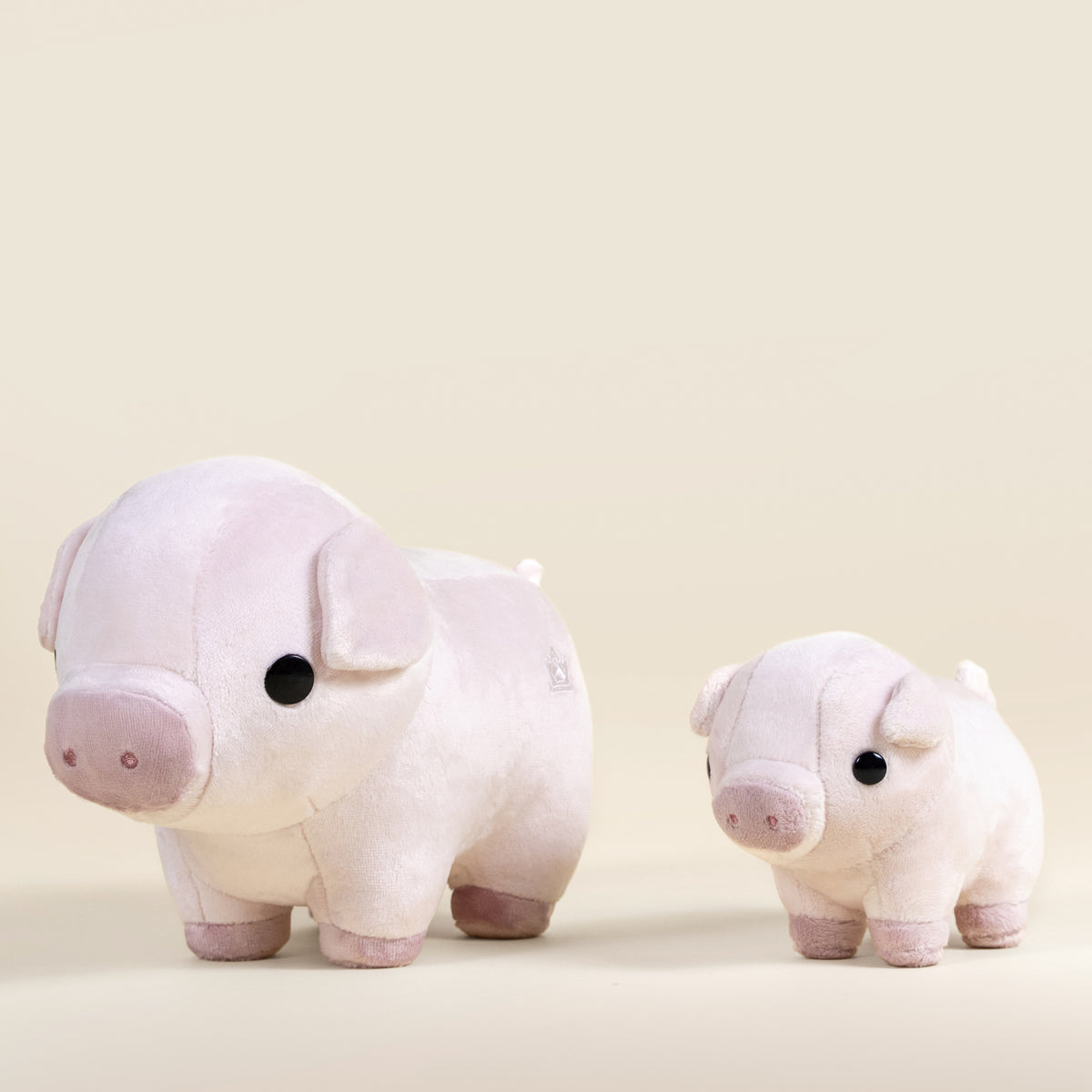 Piggi the Pig