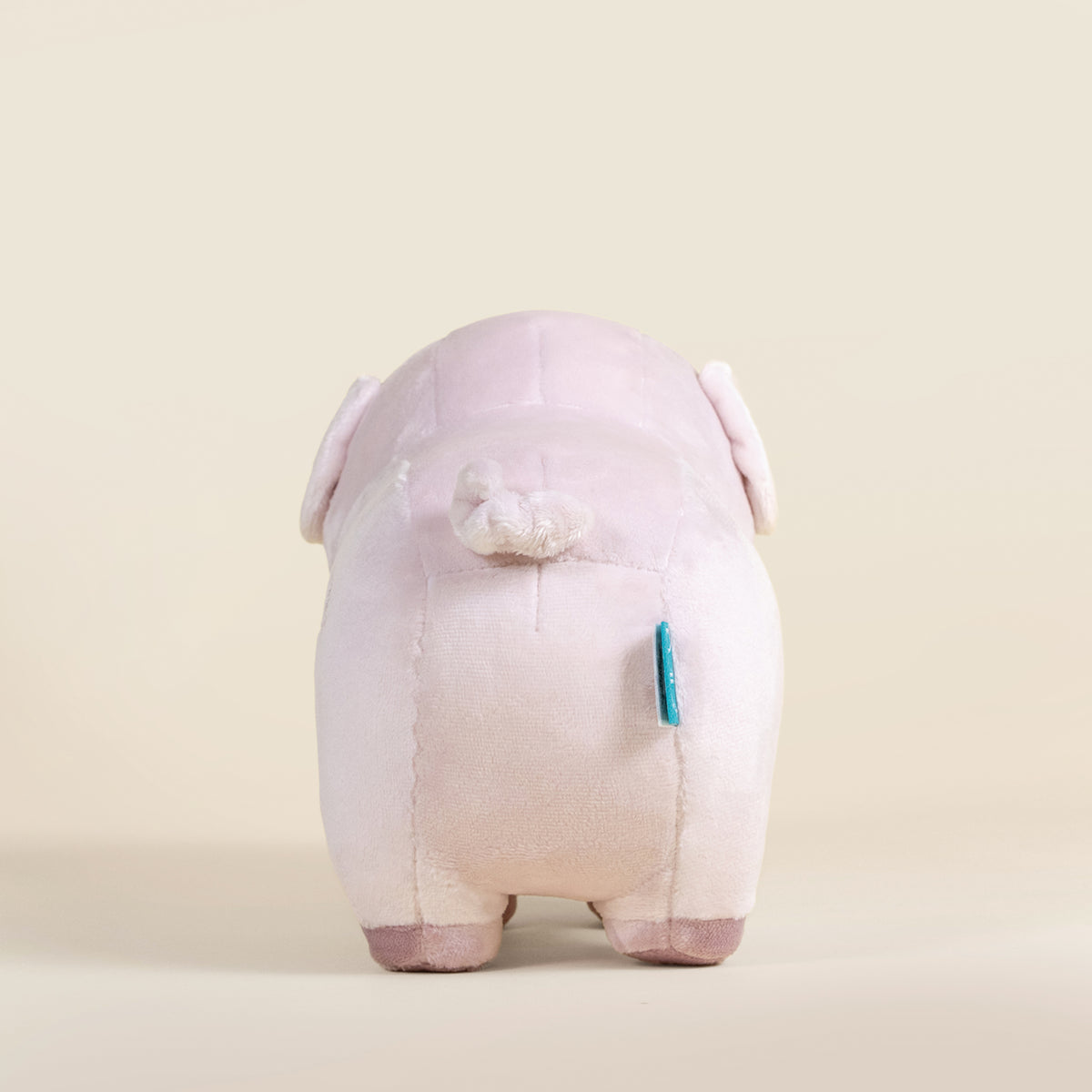 Piggi the Pig