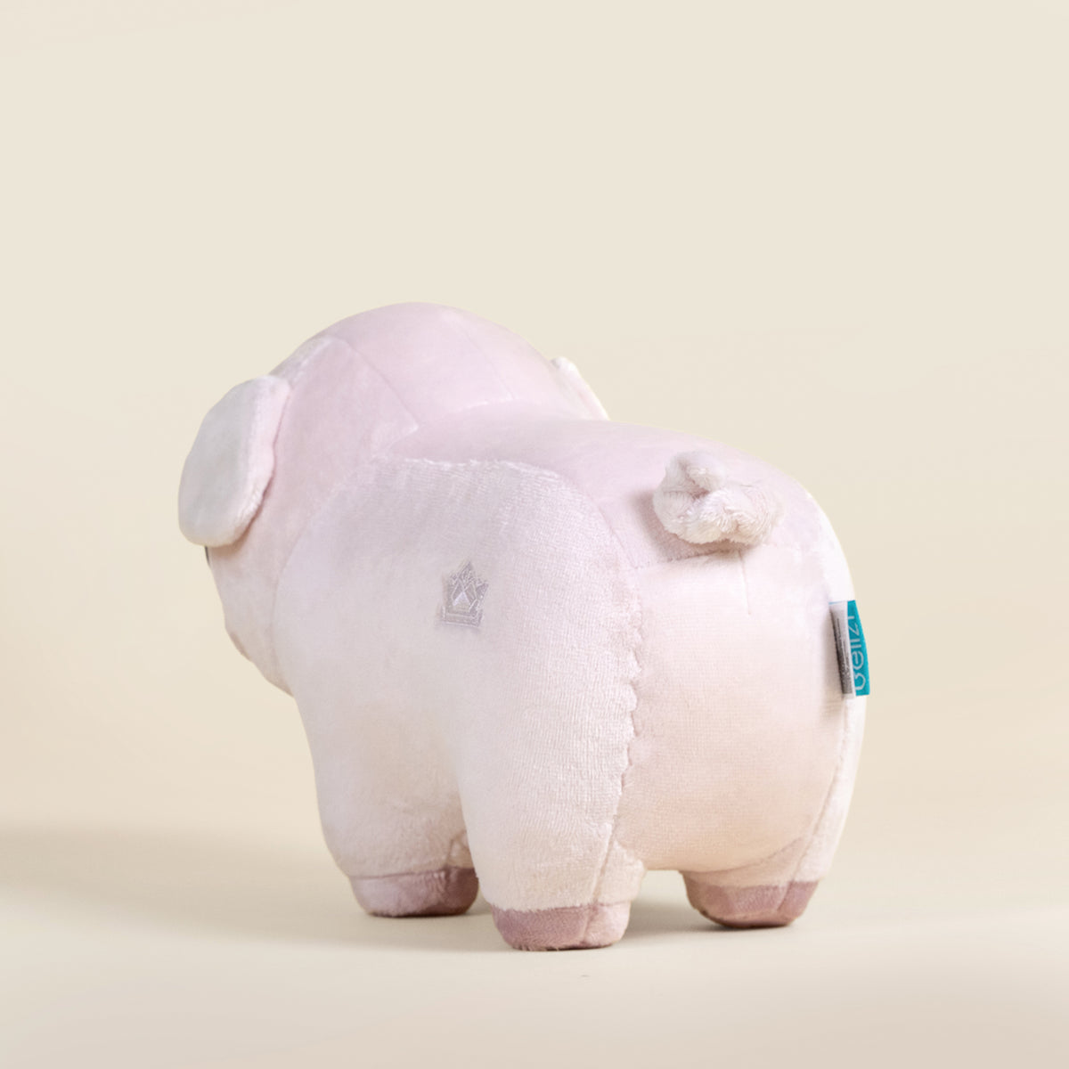 Piggi the Pig