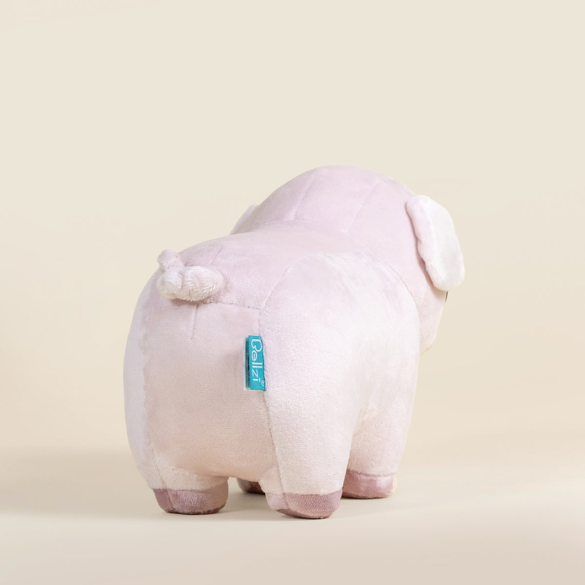Piggi the Pig